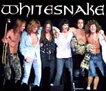 whitesnake